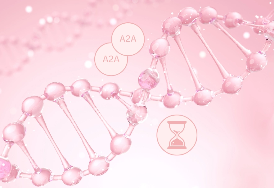 PDRN formulation: A2A and anti-aging benefits