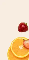 Banner Right